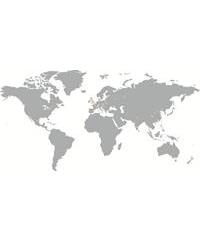 Mapa de subsidiarias internacionales