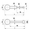A-5555-0119 - M5 測針用於旋轉配置，Ø 1 mm 紅寶石球，碳化鎢測針桿，L 17.5 mm，ML 5 mm，用於 ZEISS 應用項目